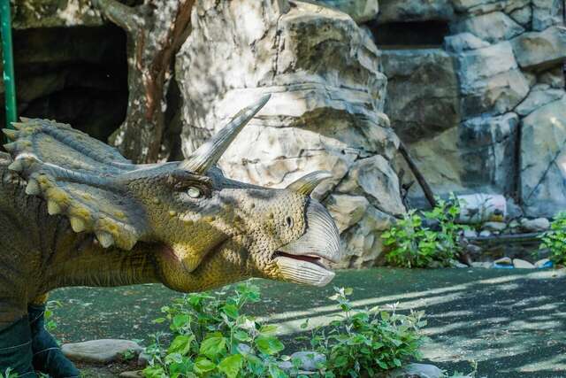 Гостиница Черноморье Небуг-40